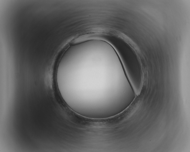 X0000102310436200807251044
