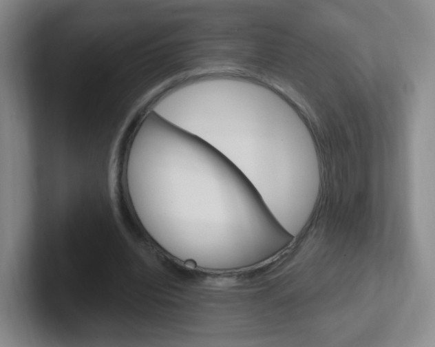 X0000102310440200807251044