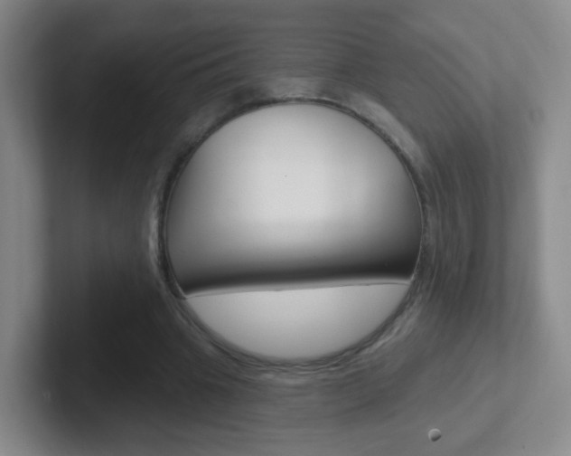 X0000102310441200807251044