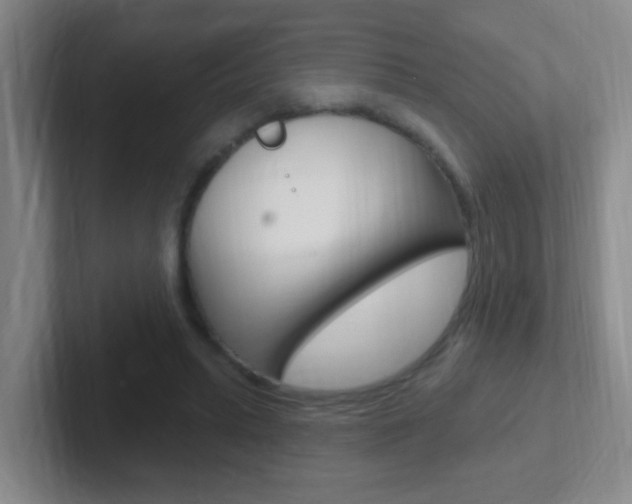 X0000102310447200807251044