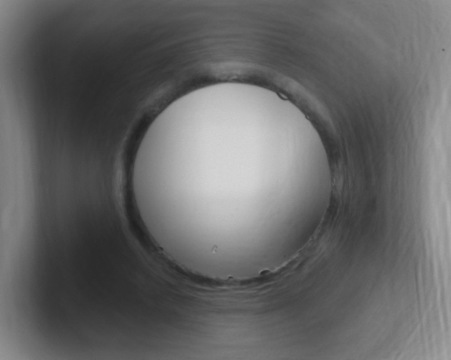 X0000102310448200807251044
