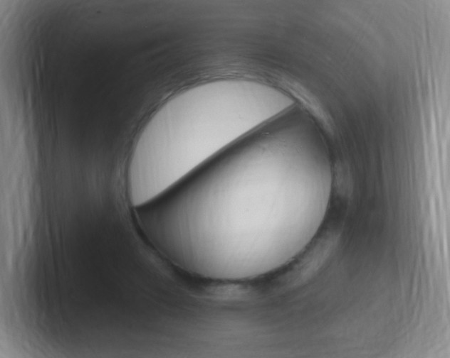 X0000102310449200807251044