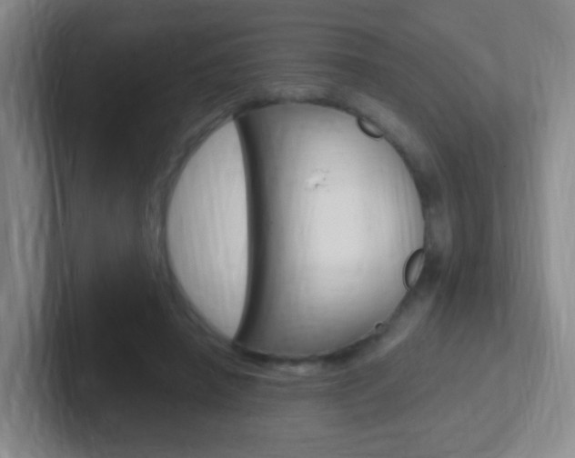 X0000102310450200807251044