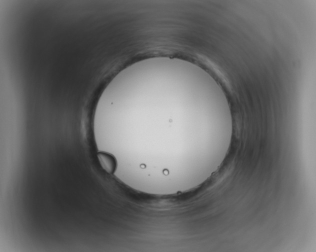 X0000102310451200807251044