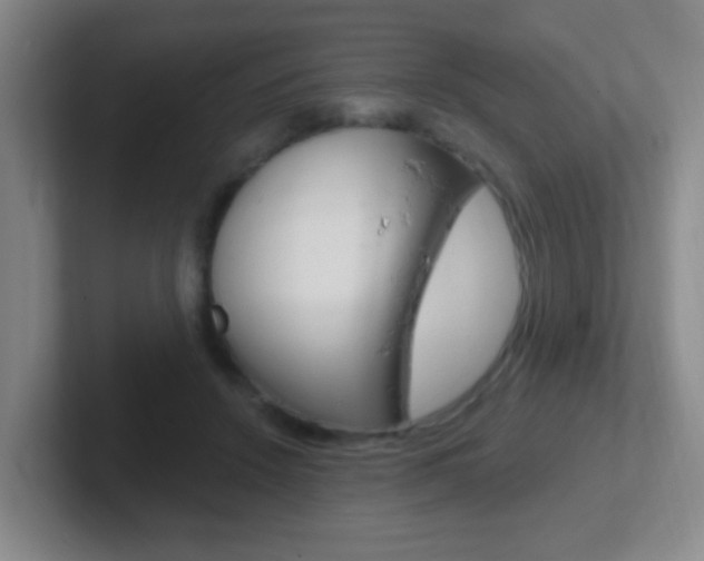 X0000102310456200807251044