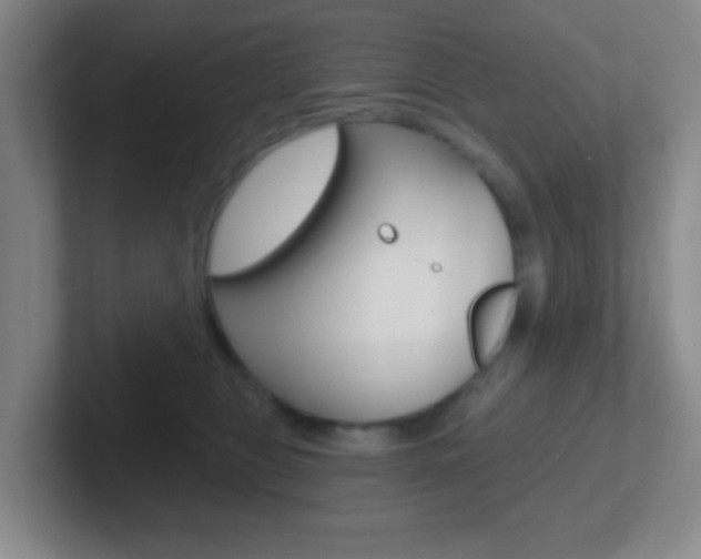 X0000102310469200807251045