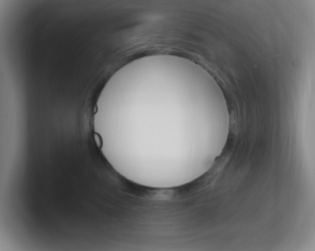 X0000102310474200807251045