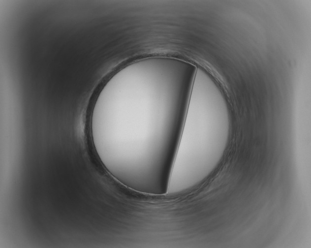 X0000102310483200807251044