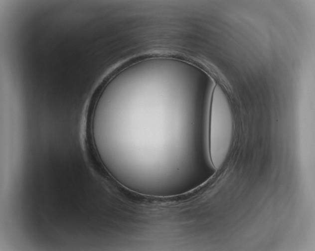 X0000102310484200807251044