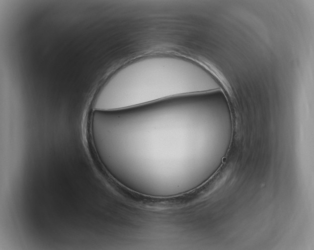 X0000102310485200807251044