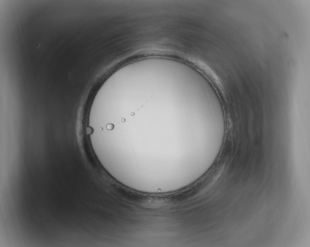 X0000102310487200807251044