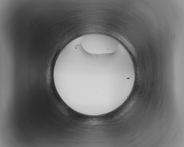 X0000102310489200807251044
