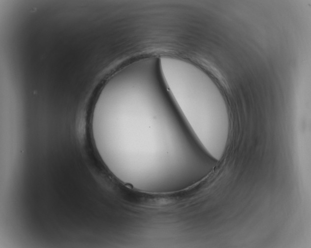 X0000102310492200807251044