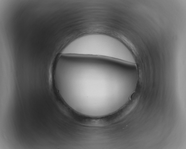 X0000102310493200807251044