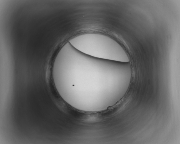 X0000102310495200807251044
