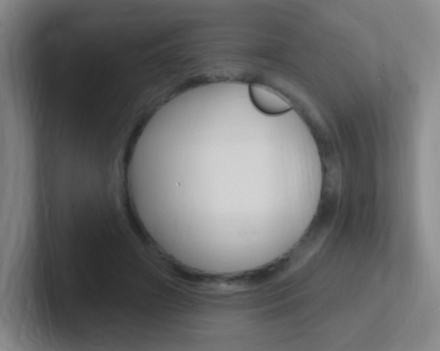 X0000102310498200807251044