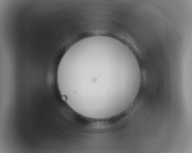 X0000102310499200807251044