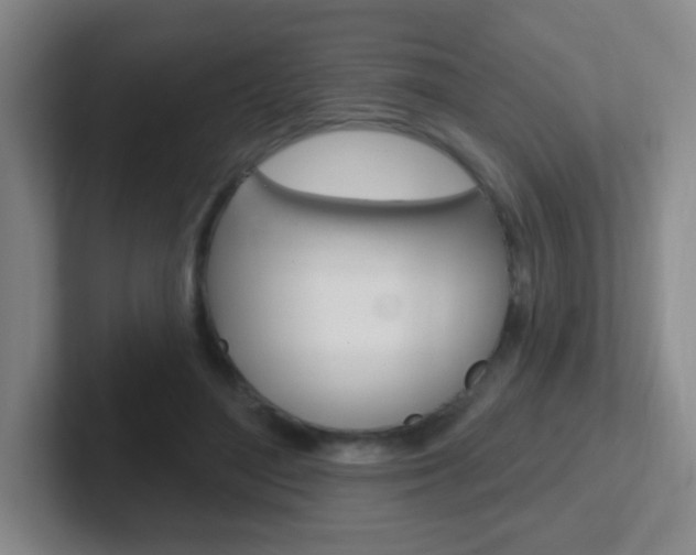 X0000102310500200807251044