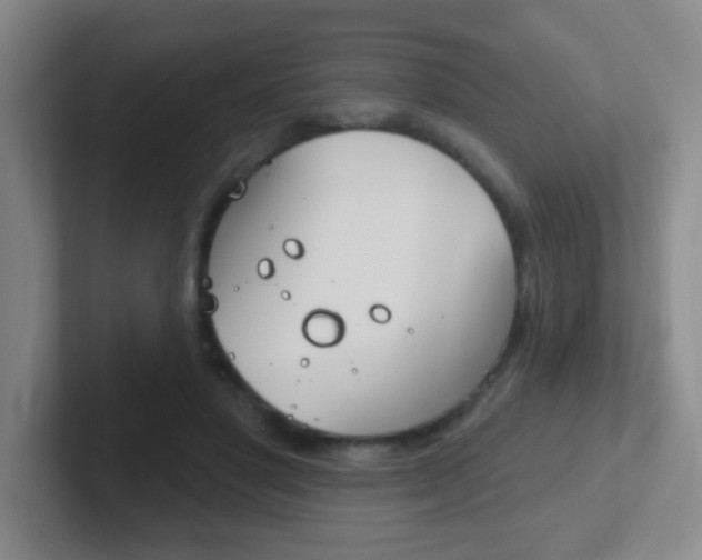 X0000102310501200807251044
