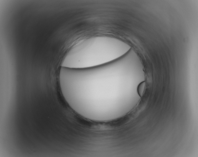 X0000102310503200807251044