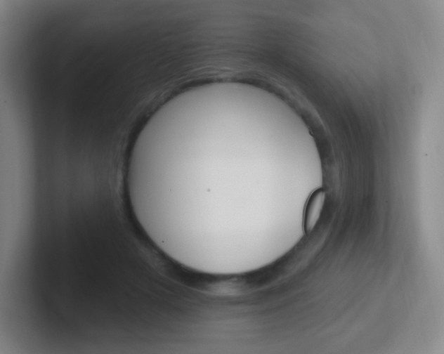 X0000102310505200807251044