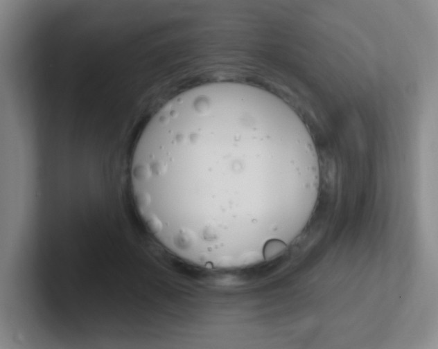 X0000102310507200807251044