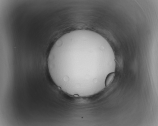 X0000102310511200807251044