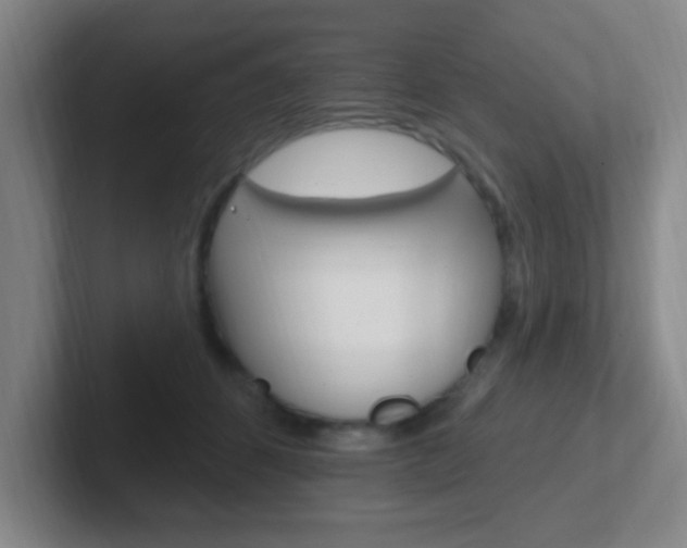X0000102310512200807251044