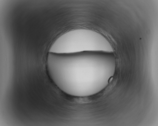 X0000102310517200807251044