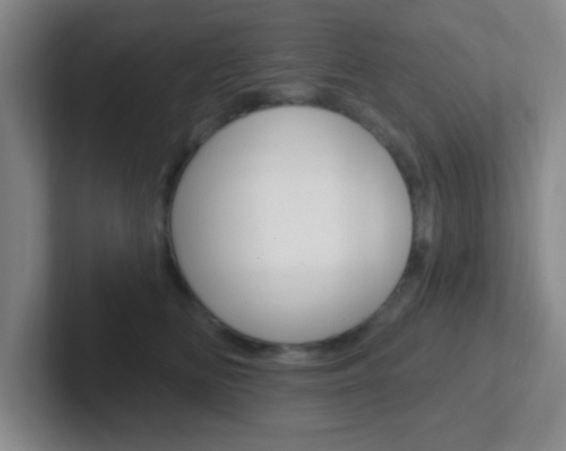 X0000102310518200807251044