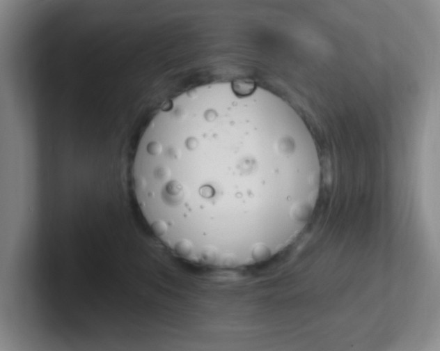 X0000102310519200807251044
