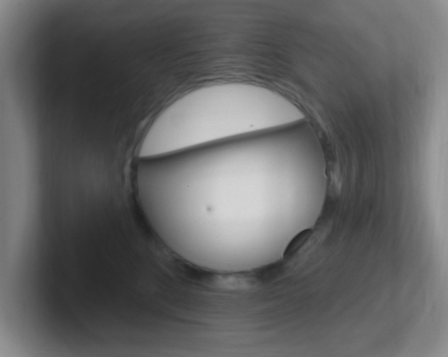 X0000102310520200807251044