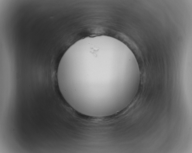 X0000102310521200807251044