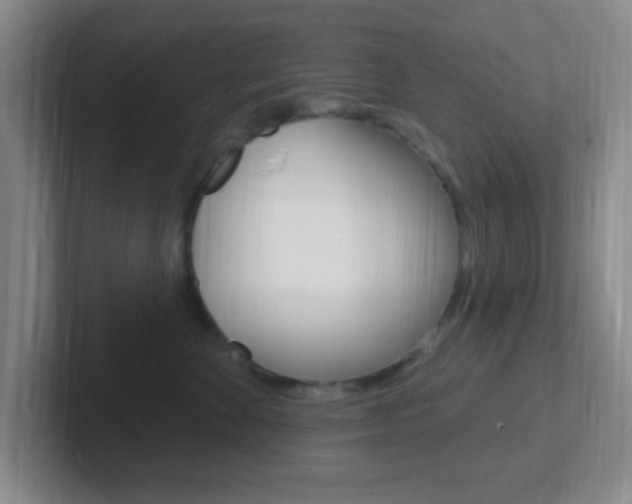 X0000102310524200807251044