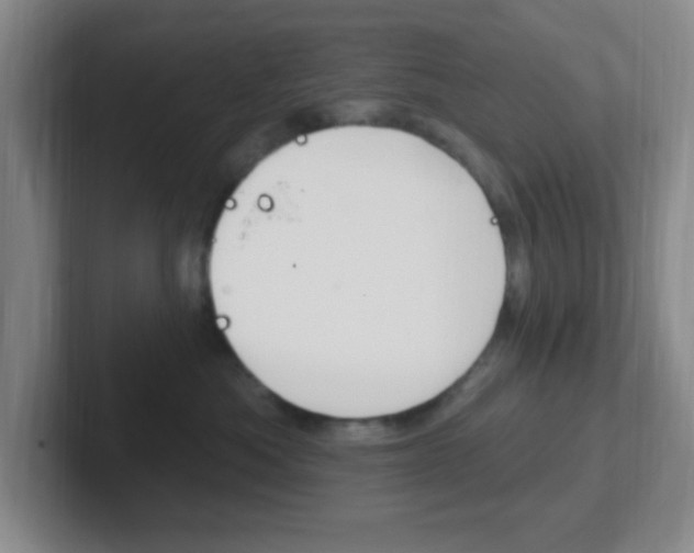 X0000102310525200807251044