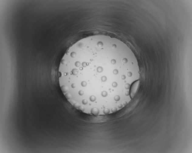 X0000102310527200807251043