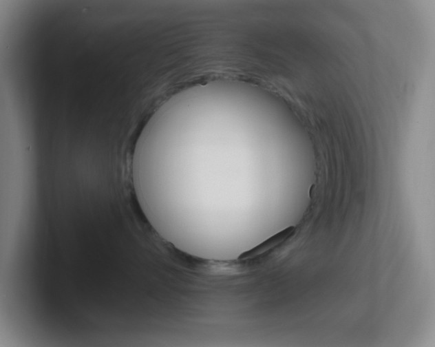 X0000102310528200807251043