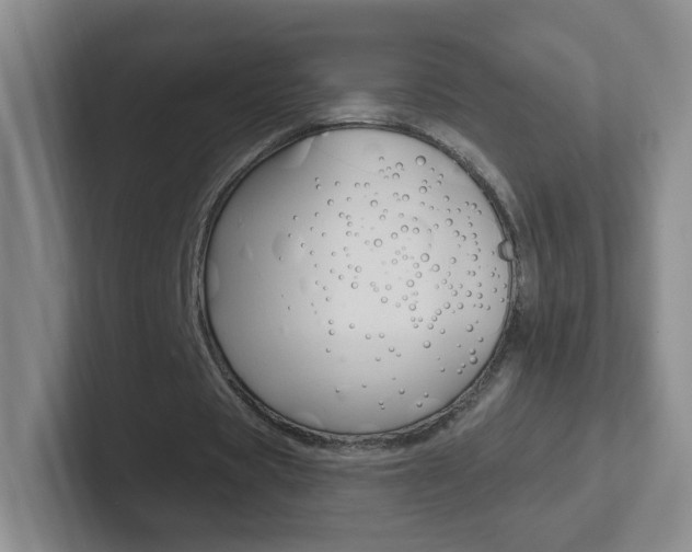 X0000102310529200807251043