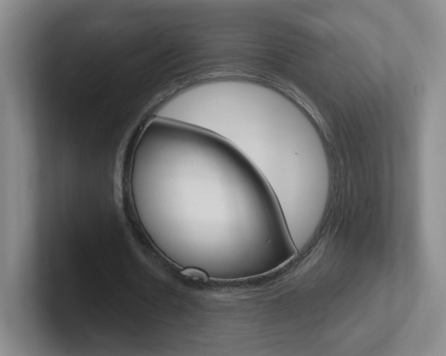 X0000102310530200807251043