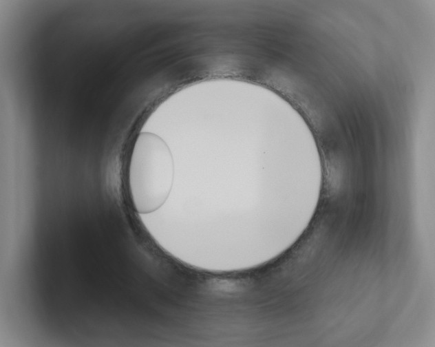 X0000102310534200807251043