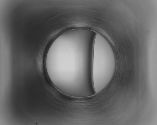 X0000102310535200807251043