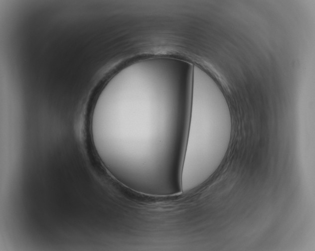 X0000102310536200807251043