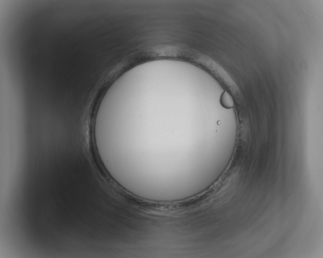 X0000102310537200807251043