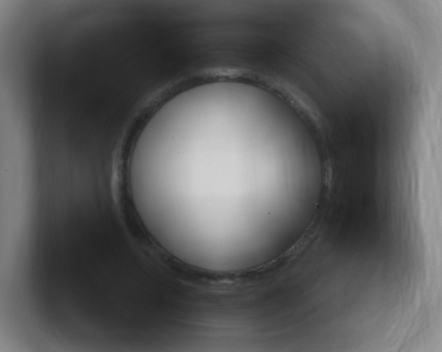 X0000102310544200807251043