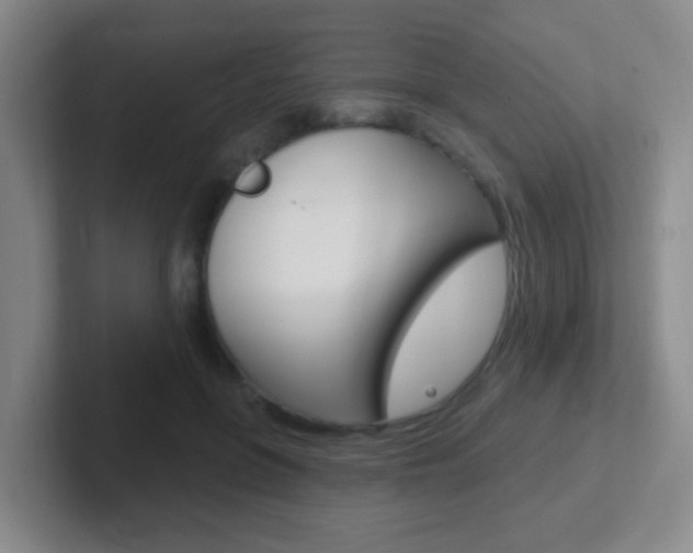 X0000102310551200807251043