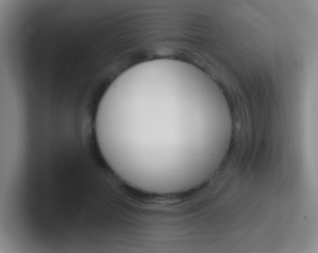 X0000102310555200807251043