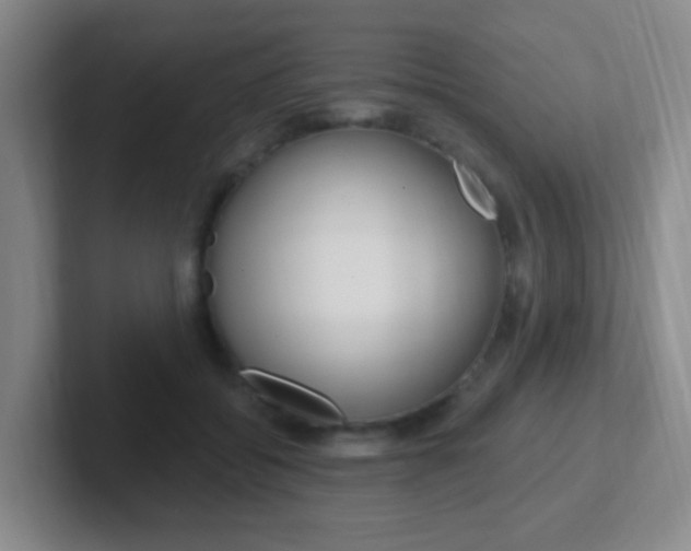 X0000102310556200807251043