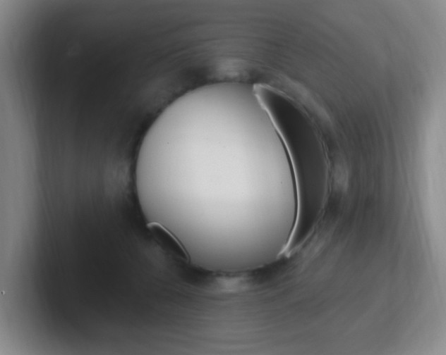 X0000102310560200807251043
