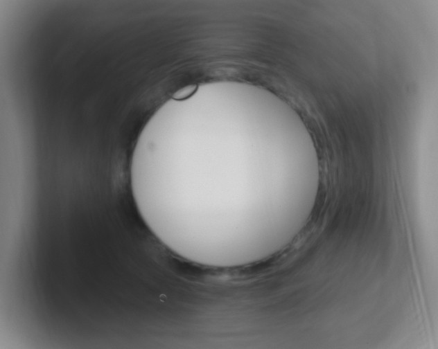 X0000102310561200807251043
