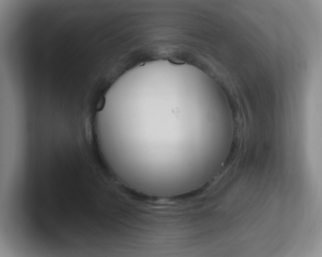 X0000102310562200807251043